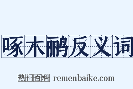 啄木鹂反义词是什么意思的图片